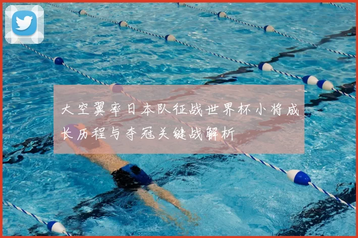 大空翼率日本队征战世界杯小将成长历程与夺冠关键战解析