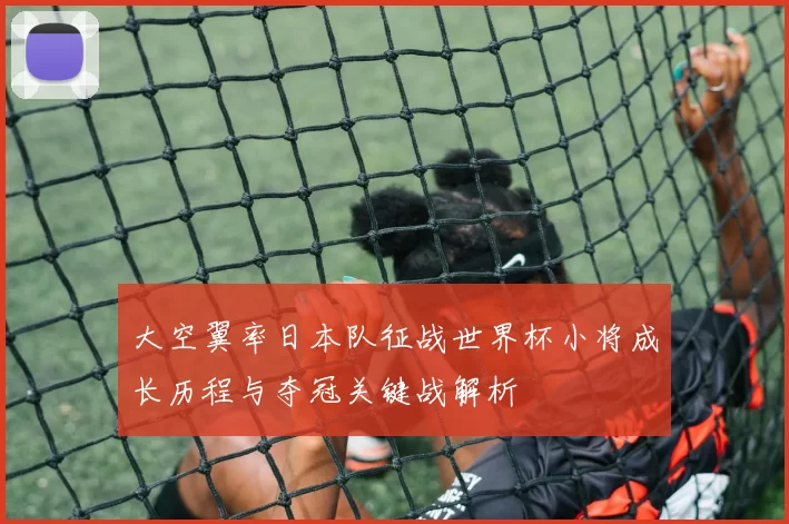 大空翼率日本队征战世界杯小将成长历程与夺冠关键战解析