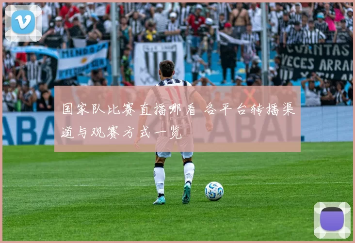 国家队比赛直播哪看 各平台转播渠道与观赛方式一览